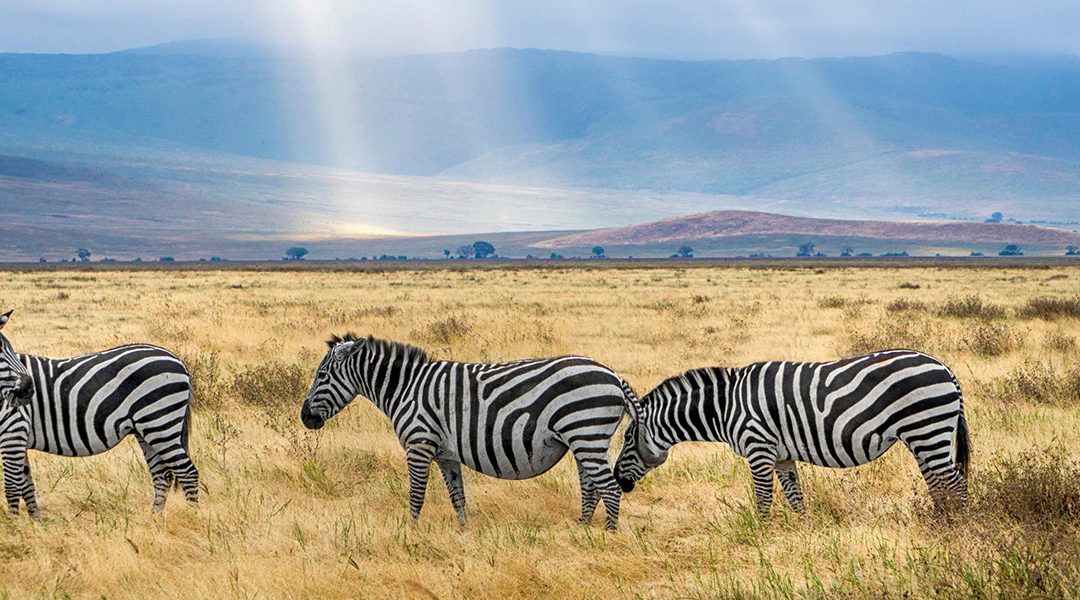 Tanzania